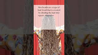 Box Braids 101 A Complete Guide to Styling amp Maintenance  herhairdos [upl. by Fenwick]