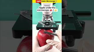 Apple Under Microscope😱 shorts youtubeshorts shortvideos [upl. by Laumas]