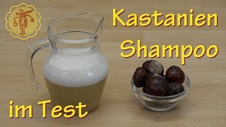 Ich teste KastanienShampoo DIY [upl. by Aihsemak]