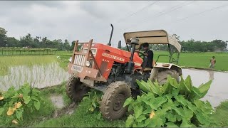 Swaraj 855 FE Working Rotavator  Swaraj tractor video [upl. by Yssej]