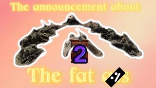 Stingray fam quotannouncement about the FAT A part 2quot [upl. by Nolan]