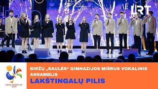 Biržų „Saulės“ gimnazijos mišrus vokalinis ansamblis – „Lakštingalų pilis“  „Dainų dainelė 2024“ [upl. by Inhsor]