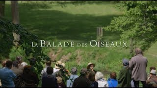 La Balade des Oiseaux [upl. by Folberth810]