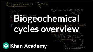 Biogeochemical cycles  Ecology  Khan Academy [upl. by Malvin412]