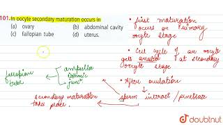 In oocyte secodary maturation occurs in  12  HUMAN REPRODUCTION  BIOLOGY  NCERT FINGERTIPS [upl. by Ahsinauj110]