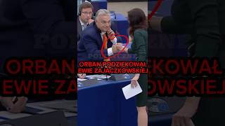 WIELKI SOJUSZ ZAJĄCZKOWSKIEJ I ORBANA polityka polskapolityka konfederacja [upl. by Hartley153]