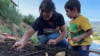 Sembrando nuestras hortalizas con las riquezas de nuestro bosque [upl. by Lotta]