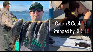 Winter Fishing Stopped by DFG at Alameda Rock Wall california bayarea fishing perch video [upl. by Dust]