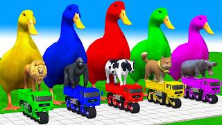 5 Giant Duck Cartoon Cow Mammoth Elephant Lion Paint Wild Animals Crossing Fountain Animation [upl. by Adrian]