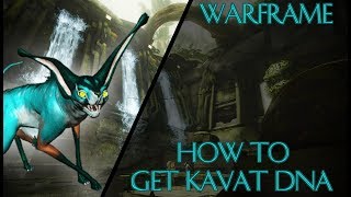 Warframe How to Get Kavat DNA [upl. by Killoran]