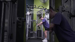 How To Do Rope Lat Pullovers exercise gym [upl. by Alokin]