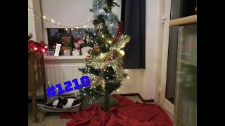 KIJK MIJN MOOIE KERSTBOOM  KEES RIEMERSMA VLOG 1210 [upl. by Anatollo]