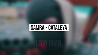 Samra  Cataleya Instrumental Beat Download [upl. by Corly290]