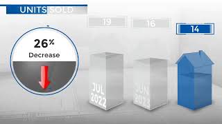 Lone TreeCO Real Estate Market Update from REMAX AllianceAugust 2023 [upl. by Tabshey]