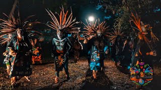 Mexican Folk Dance Aztec dance  Representación de Danza prehispánica azteca en Día de Muertos  4K [upl. by Engis]