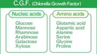 5 Hidden Benefits of Chlorella Growth Factor [upl. by Ailen]