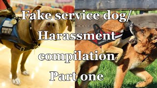 Fake Service dog and harassment compilation part 1 [upl. by Derman]