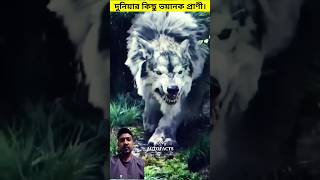 দুনিয়ার কিছু ভয়ানক প্রাণী।shortsanimals shark [upl. by Aivataj]