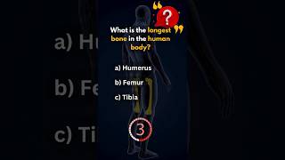 Anatomy Quiz for Americans 🧠🇺🇸 shortsfeed shorts shortvideo englishquiz [upl. by Figge]