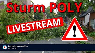 Sturm Poly am Mittwoch  Livestream Update [upl. by Eidoow]