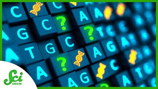 We Hadnt Sequenced the Human GenomeUntil Now  SciShow News [upl. by Neirbo]