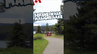 Serene Walk at Maligne Lake MaligneLake JasperNationalPark jaspernp [upl. by Bausch]