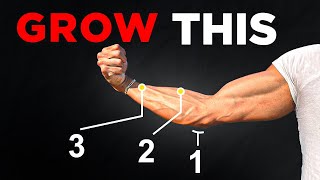 Unlock MASSIVE Forearms with These 3 Exercises Science Based [upl. by Eirrahs]