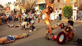 DANZA AZTECA  AGUILA BLANCA [upl. by Adneram]