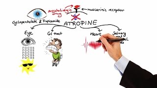 Pharmacology  ANTICHOLINERGIC amp NEUROMUSCULAR BLOCKING AGENTS MADE EASY [upl. by Gamber]