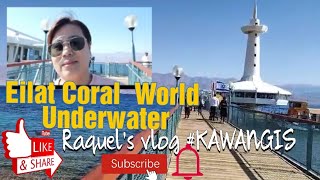 Eilat Coral World Underwater Observatory KAWANGIS [upl. by Schilling791]