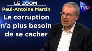 Etat profond  le cancer de la France  Le Zoom  PaulAntoine Martin  TVL [upl. by Olim]