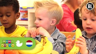 FRUITLIED  Kinderliedjes  Kinderdagverblijf  Minidisco [upl. by Aitnahs60]