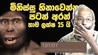 සතුට පරිනාමය වු හැටි  The Evolution of Happiness  Neth fm Unlimited History 191  01 [upl. by Grodin534]