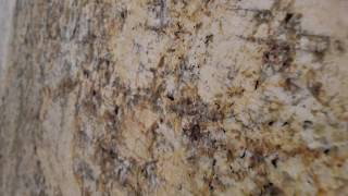 Best Granite Colors [upl. by Oahc]