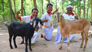 Cooking Mutton Curry amp Rohu Fish Curry for Village People [upl. by Patrice862]