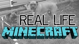 Real Life Minecraft  Episode 6 quotWolves Dogsquot [upl. by Annol]