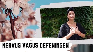 Nervus Vagus Oefeningen deel 1 [upl. by Siletotsira]