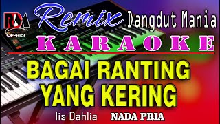 Dj Mix Dut Orgen Tunggal  Bagai Ranting Yang Kering  Karaoke Nada Pria Iis Dahlia [upl. by Martsen833]