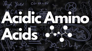 Acidic Amino Acids Aspartate amp Glutamate  MCAT [upl. by Htiaf]