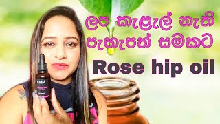 Cliara rose hip oil  rose hip oil for fair and clear skin Cliara Essential oil රෝස් හිප් ඔයිල් [upl. by Colpin]