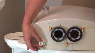 Installing the American Standard ActiClean Toilet [upl. by Lucien909]