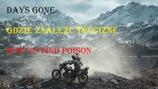 Days Gone How to find Poison Gdzie znaleźć Truciznę [upl. by Arakal270]