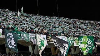 Videotifo di Avellino  Virtus Francavilla del 04112023 [upl. by O'Brien637]