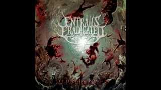 Entrails Eradicated  Viralocity Full EP HD 1080p [upl. by Tait147]