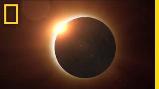 Lunar and Solar Eclipse Explained A Beginner’s Guide to Eclipses [upl. by Earissed935]