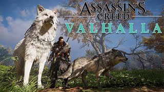 ASSASSINS CREED VALHALLA  100 ASGARD  Richesses et Mystères GUIDE EMPLACEMENTS TERRITOIRES [upl. by Nnyledam]