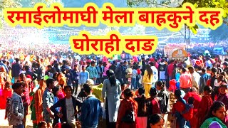 Ramailo Maghi Mela Ghorahi Dang Maghi fair in ghorahi DangBarhakune daha mela🇳🇵Nepal [upl. by Aihcats938]