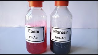 Eosin Nigrosin Stain preparation [upl. by Docia]