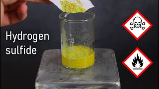 Making Hydrogen Sulfide From Common Household Materials  LabCoatz Shorts [upl. by Oicram]