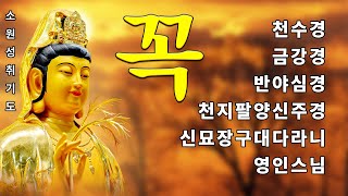 매일 들어라 소원이 실현되는 건강 과 돈 행운 🙏 천수경 금강경 신묘장구대다라니 천지팔양신주경 천지팔양신주경 우리말 영인스님 [upl. by Stoffel]